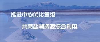 國家鹽湖資源綜合利用工程技術研究中心第四屆技術委員會會議召開